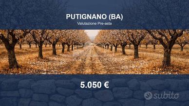 Immobile in asta di 448 m² a Putignano