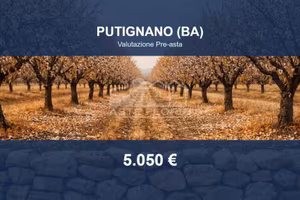 Immobile in asta di 448 m² a Putignano