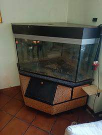 Acquario ad angolo da 400 litri
