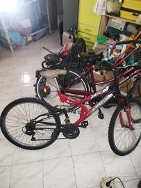 Bicicletta.