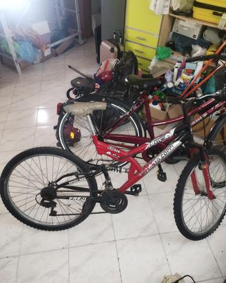 Bicicletta.