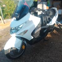 Kymco xciting