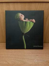 Quadretto Anne Geddes – Neonato nel fiore verde