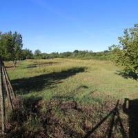 Terreno edificabile - Gorizia