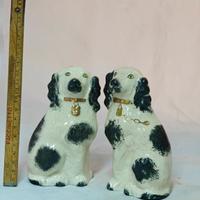 cani Staffordshire
