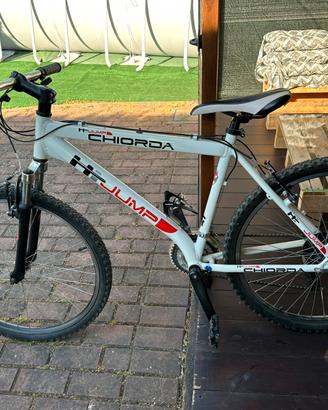 Bicicletta