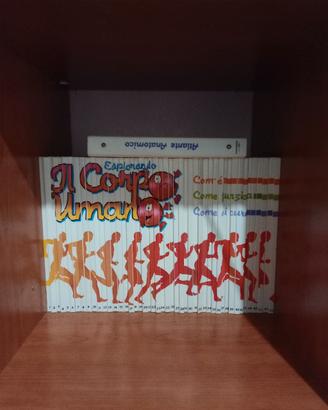 libri esplorando il corpo umano