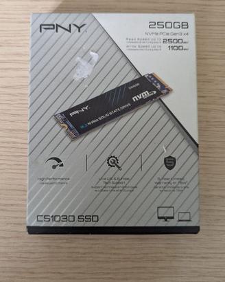 PNY CS1030 250GB M.2 NVMe PCIe Gen3