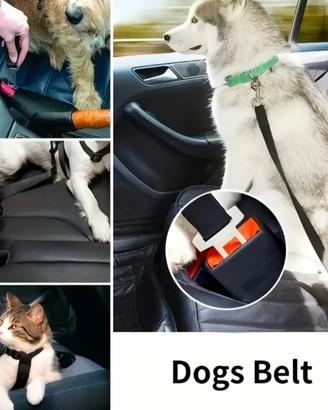 Cintura Guinzaglio auto di Sicurezza  Regolabile