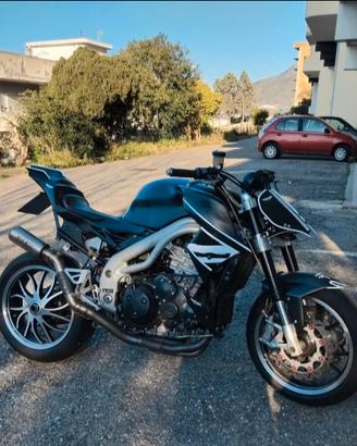 carene in fibra daytona e speed triple 955 1050