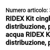 kit cinghia distribuzione Ridex per Ford Focus 