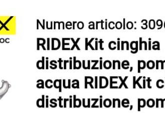 kit cinghia distribuzione Ridex per Ford Focus 