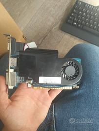 Scheda grafica nvidia geforce