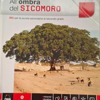 LIBRO ALL'OMBRA DEL SICOMORO