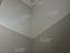 Immagine 13