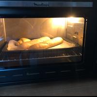 Forno elettrico Moolinex (come da foto all.)