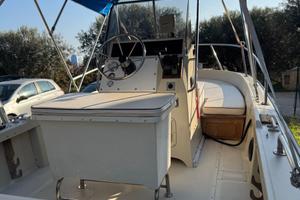 Boston Whaler Outrage 19
