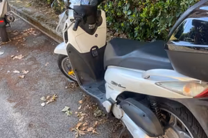 Sh 150  anno 2008