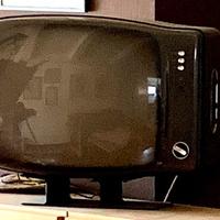 Televisore Orion 23 “ BRIONVEGA