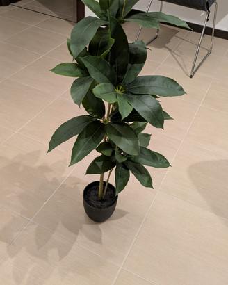 pianta artificiale 