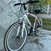 MTB Bottecchia