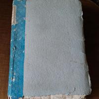 LIBRO ANTICO EPOCA TORINO STORIA  ITALIA SAVOIA