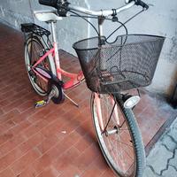 bicicletta donna 24