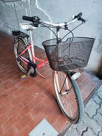 bicicletta donna 24
