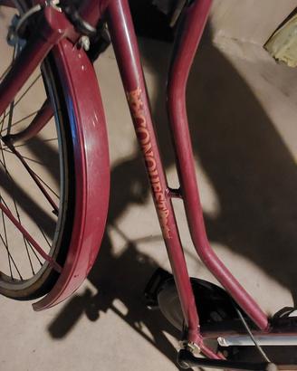 Bicletta donna olandesina