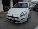 fiat-punto-1-4-8v-5-porte-easypower-street
