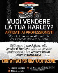 Harley-Davidson Sportster , dyna, softail