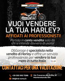 Harley-Davidson Sportster , dyna, softail