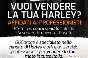 Harley-Davidson Sportster , dyna, softail