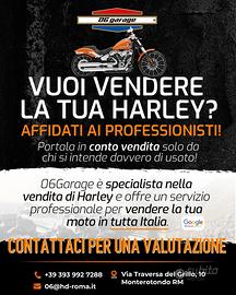 Harley-Davidson Sportster , dyna, softail