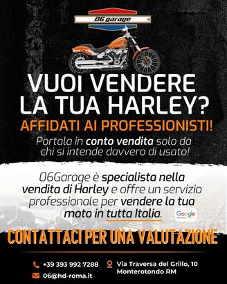 Harley-Davidson Sportster , dyna, softail