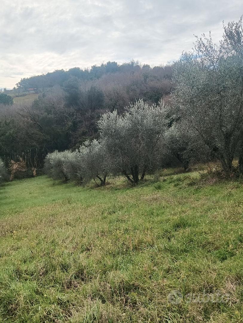 Vendita terreno - Vista 3