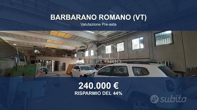Immobile in asta di 933 m² a Barbarano Romano