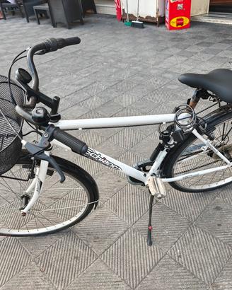 bici da passeggio mountain bike
