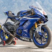 Yamaha R6 Race 2020 - Pronto Gara- Mectronik