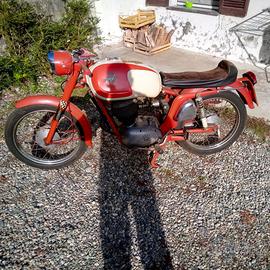 MV Agusta Altro modello - 1962