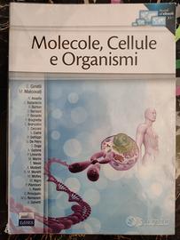 Molecole, Cellule e Organismi