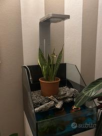 Acquario elos con lampada e mobile