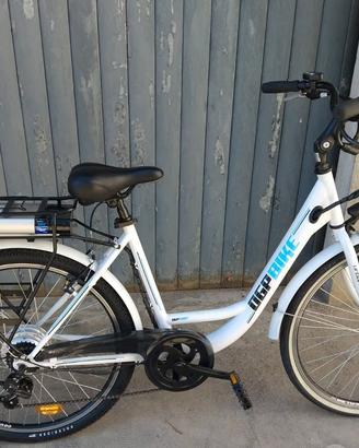 Bicicletta elettrica ebike