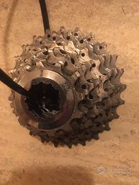 Pignoni Durace 10v 12/25