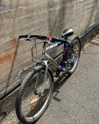 Bici misura 26