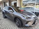 lexus-nx-300-hybrid-4wd-luxury