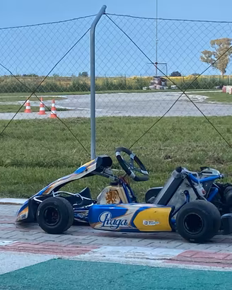 Go kart kf 2018 motore iamex30 o litri monomarcia