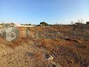 terreno-agricolo-ugento-11-5muccusovcg-torre-sa