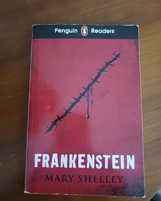 Libro B1 titolo; 'Frankenstein' Autore; M. Shelley