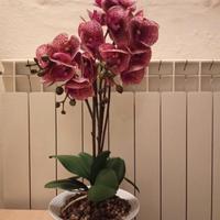 Orchidea artificiale in vaso